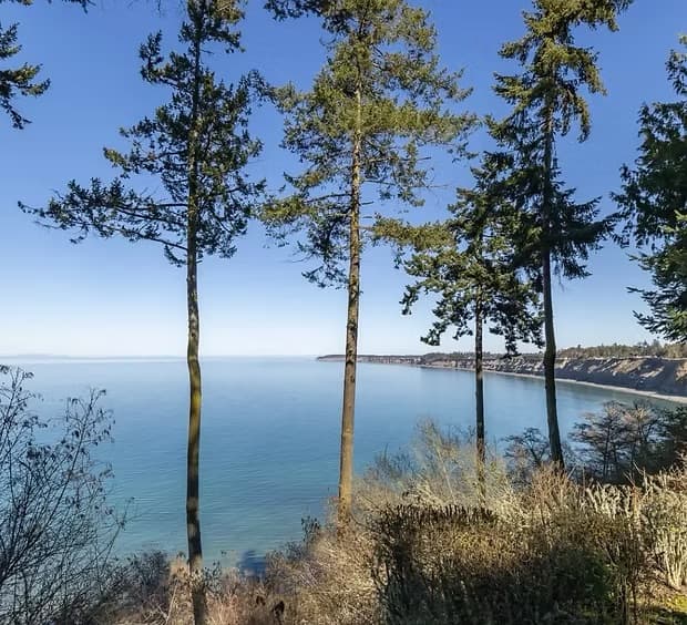 The bluffs above the Strait of Juan de Fuca