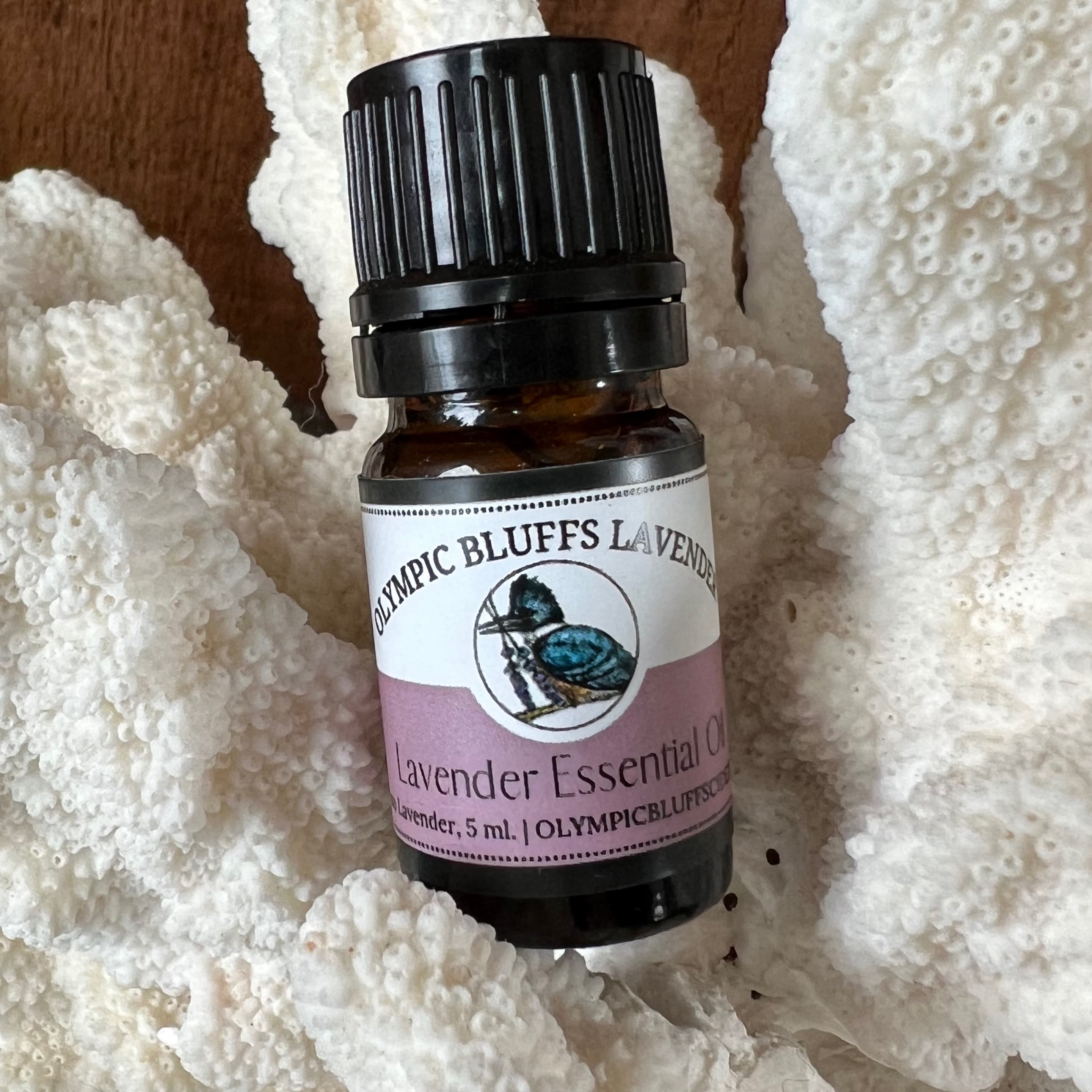 Lavender Essential Oil