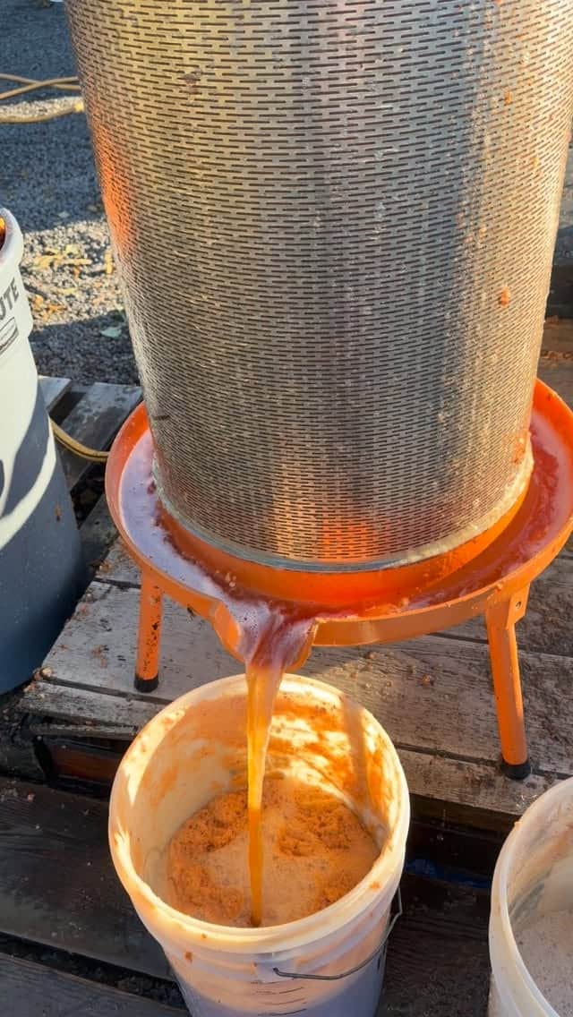 3000 pounds of apples pressed today from four local farms…Silver Leaf Maple, Lazy J, Many Trees and Olympic Bluffs Fa…